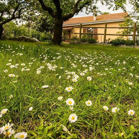 B&B La Farnia Casciana Terme Zewnętrze zdjęcie