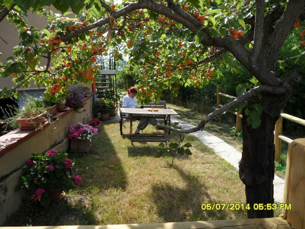 B&B La Farnia Casciana Terme Zewnętrze zdjęcie